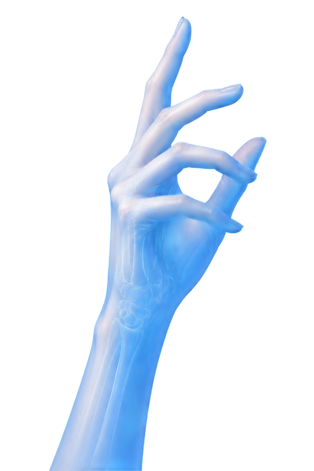 Translucent hand X-ray